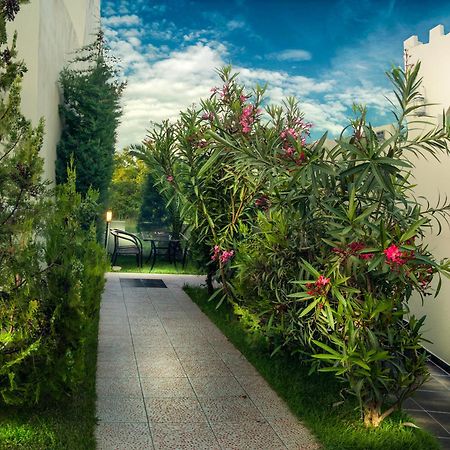 Abbacy Katiana'S Castelleti 1 Lägenhet Thassos Exteriör bild